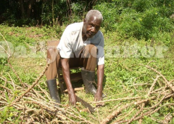 RIP. Maj Kanuti Akorimo, who raised Uganda National Flag on October 9, 1962, goes about his work at his home in Omatenga, Kumi District. PHOTO: DAILY MONITOR