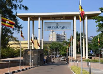 Col. Fred Mwesigye Oddly Backs Deputy Speaker’s Blunder