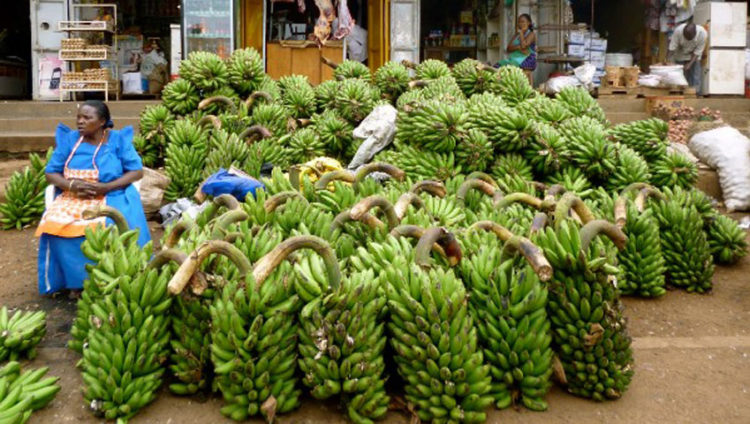 Lockdown lowers food prices; forces Mayuge Market traders out of business..