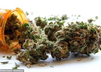 Marijuana Could Treat COVID-19- Research