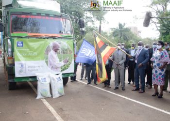 23,000 Maize farmers to receive fertilizers from the Ministry of agriculture.