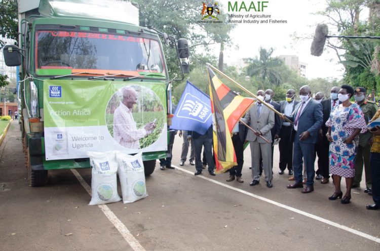 23,000 Maize farmers to receive fertilizers from the Ministry of agriculture.