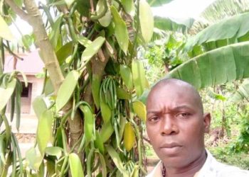 How To Become A Millionaire From Vanilla Farming