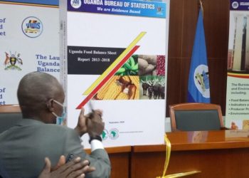 Uganda’s Food Self-Sufficiency Ratio At 95%-UBOS Report