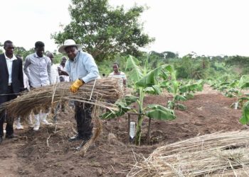 Museveni Targets To Get All Ugandans Out Of Poverty In 5 Years