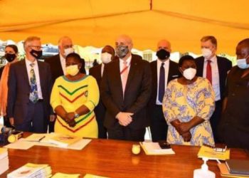 Fake news is spoiling our relationship with NRM government, says European Union head