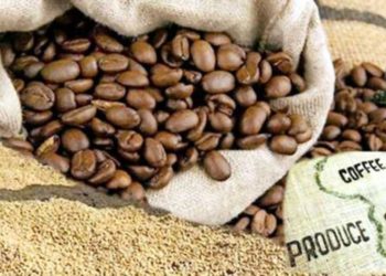 Uganda Bags Shs2 Trillion From Coffee Exports In 2020