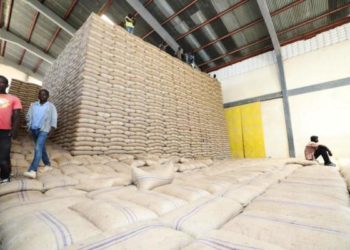Gov’t: Foreigners Illegally Profiteering From Uganda Maize Exports