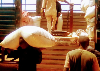 Traders Stuck With Metric Tons Of Maize Worth Billions As Kenya Ban Bites