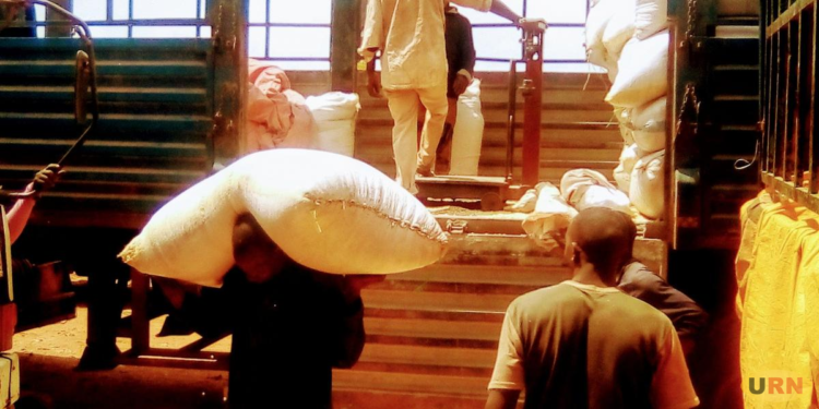 Traders Stuck With Metric Tons Of Maize Worth Billions As Kenya Ban Bites