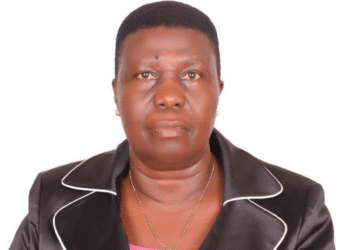 RDCs are not enemies of elected leaders and technocrats