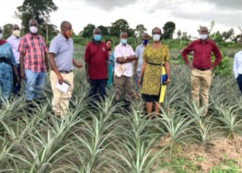 NAADS IMPLEMENTATION OF NRM MANIFESTO