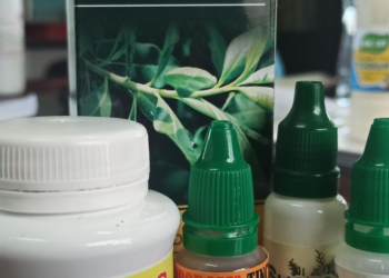 Uganda Develops Five Herbal Therapeutic Products to Manage COVID-19