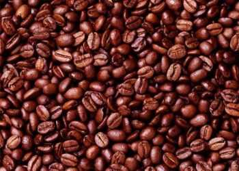 Better Beans: Italy Espresso Lovers Lift Uganda Coffee Exports To 30-Year High