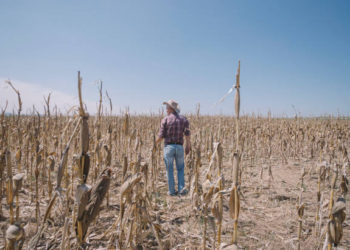 Uganda Environmentalists Push for Climate Change Disaster Fund