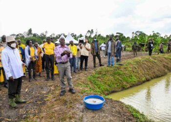 Uganda’s Fishing Industry Gets a Boost: Government Pledges Special Fund for Fishermen