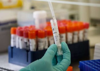 Coronavirus vaccine: Germany approves first human trials