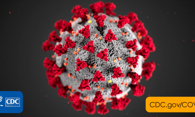 coronavirus