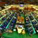 MPs Agree To Meet Museveni Over Controversial NSSF Bill