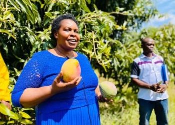 Over 1000 Jobs up For Grabs at Shs19b Fruit Factory in Nwoya