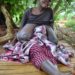 Mayuge Girl Defiled, Impregnated and Rotting From a Mysterious Infection