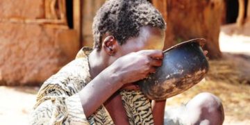 3m Ugandans Need Urgent Food Intervention As Acute Hunger Ravages East Africa