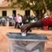 AMERICAN EXPERT ADVISES UGANDANS NOT TO VOTE LIKE LIBERIANS IN THE 2021 PRESIDENTIAL ELECTIONS