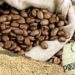 Uganda Bags Shs2 Trillion From Coffee Exports In 2020