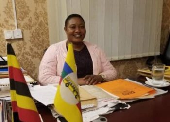 Corruption, Security Take Center Stage as Minister Babalanda Hosts Virtual Meeting for District Security Committees