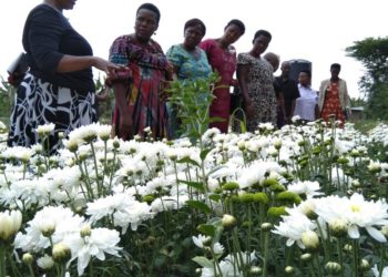 Uganda Dev’t Bank To Finance 2 Million Women Entrepreneurs With Affordable Micro Loans