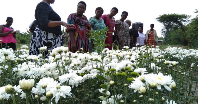 Uganda Dev’t Bank To Finance 2 Million Women Entrepreneurs With Affordable Micro Loans