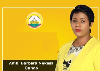 NRM Treasurer: We are instituting reforms for proper accountability of Party money