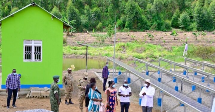 President Museveni Rallies Masaka Farmers On Value Addition – The ...