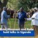 President Museveni Hosts Raila Odinga & William Ruto in Uganda