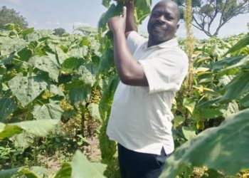 Former Legislator Blames Present Failure of Government Programmes on Laxity of Parliamentarians