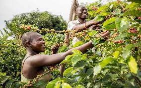 Partnership for Prosperity: UNFF and OWC Join Forces to Eradicate Poverty