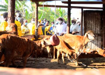  President Museveni’s PDM Initiative Bears Fruit in Lira