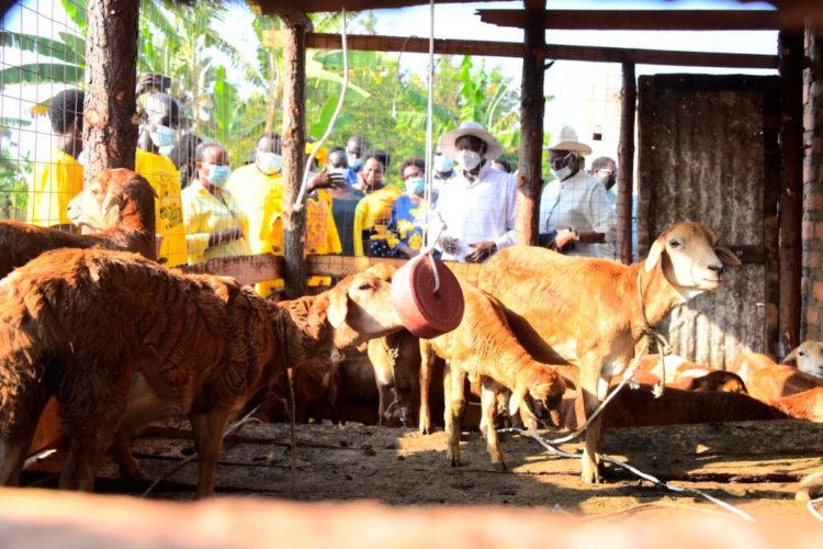  President Museveni’s PDM Initiative Bears Fruit in Lira