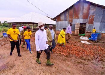 Empowering Agribusiness: President Museveni’s Commitment to Hoima Farmer’s Success