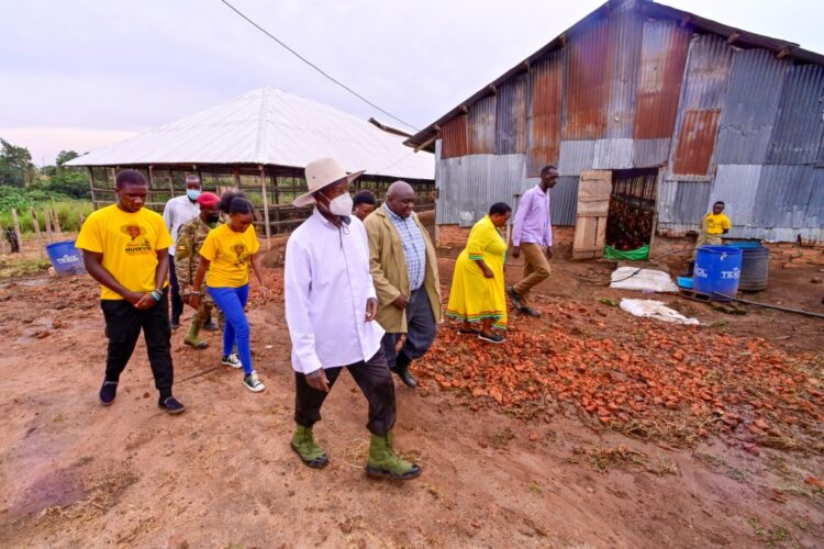 Empowering Agribusiness: President Museveni’s Commitment to Hoima Farmer’s Success