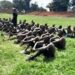 Recruitment Drive in Busoga: UPDF Targets Nearly 1,000 Amid Scrutiny and Allegations
