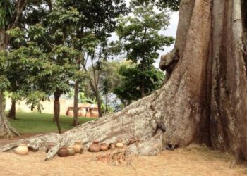 Using Art and Culture for environment conservation