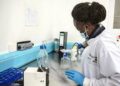 Uganda Explores Genetic Warfare Against Malaria Amid Rising Climate Threats
