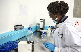 Uganda Explores Genetic Warfare Against Malaria Amid Rising Climate Threats