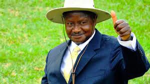 Museveni Projected to Win 2026 Election with 70% as Bobi Wine Trails at 20%, New Poll Reveals Growing Rural Divide