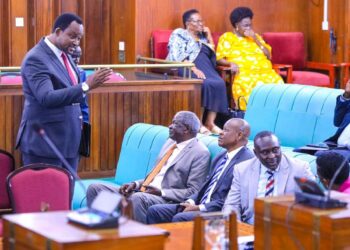 Parliament Orders Compensation for Family After Fatal Baboon Attack