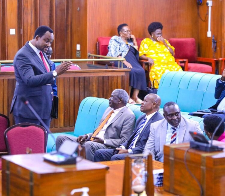 Parliament Orders Compensation for Family After Fatal Baboon Attack