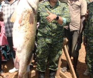 Inside Uganda’s Evolving Fisheries Regulation
