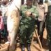 Inside Uganda’s Evolving Fisheries Regulation