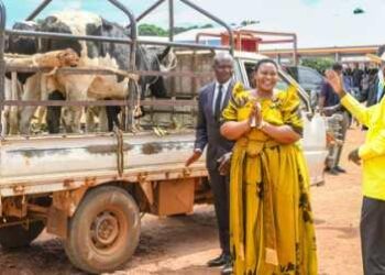 In Busoga’s Small Plots, Museveni Sees a Path Out of Poverty